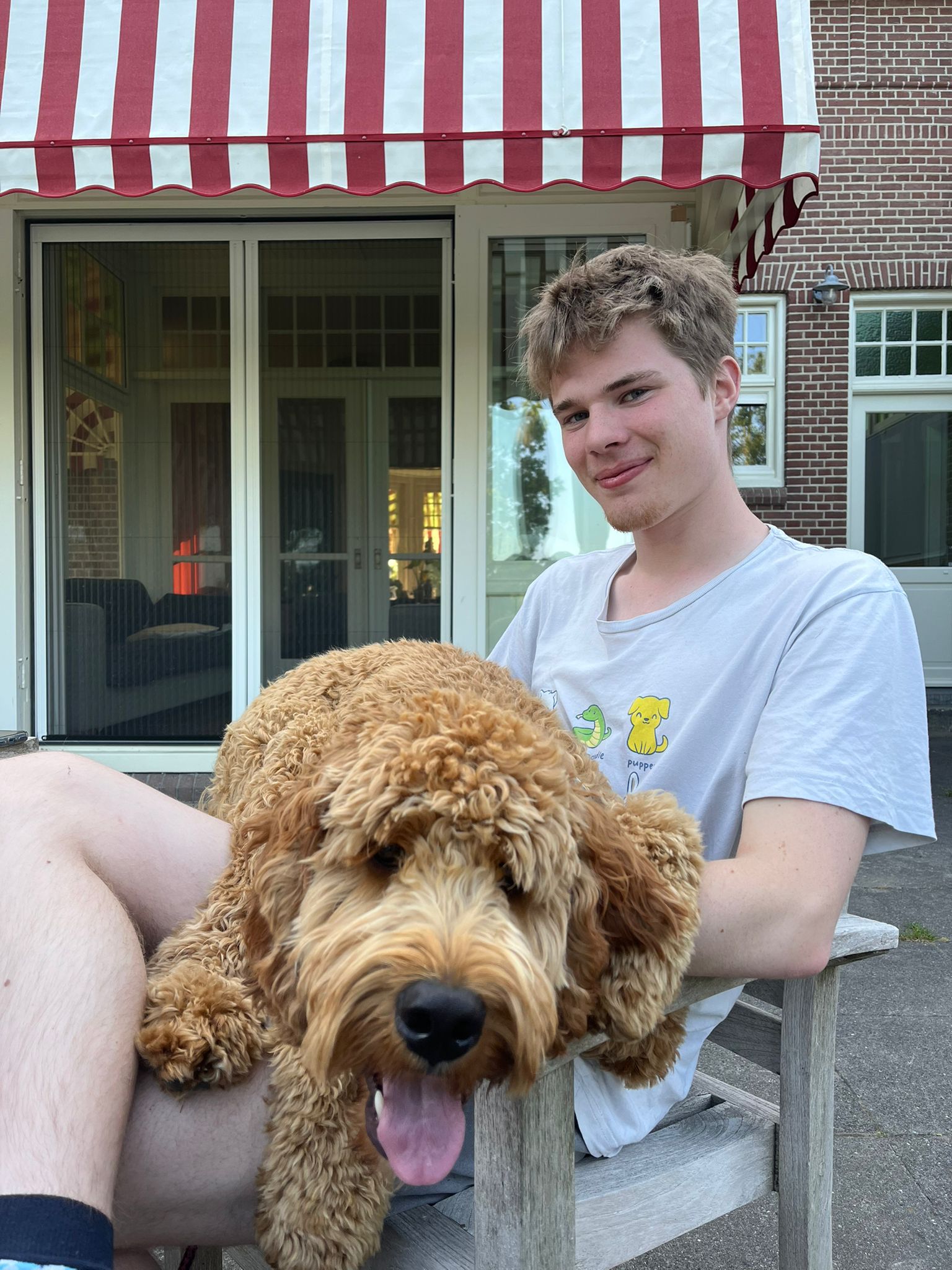 Flattering image with Doggo